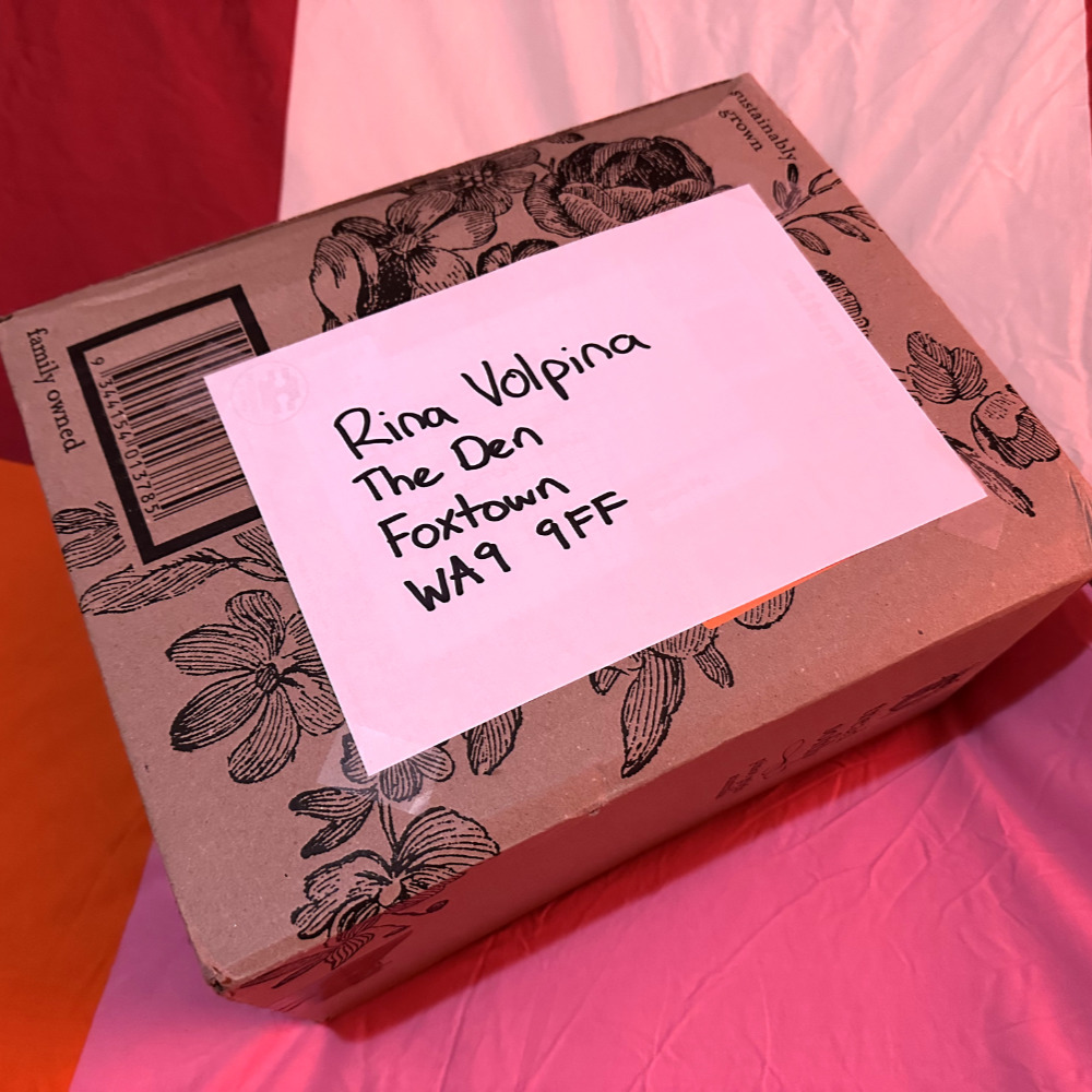 A large cardboard box on a bedsheet. The address label reads, 'Rina Volpina, The Den, Foxtown, WA9 9FF'. The ambient colours are warm reds and oranges.